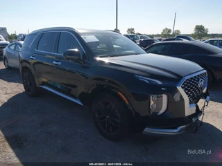 HYUNDAI HYUNDAI PALISADE CALLIGRAPHY