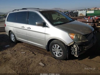 HONDA HONDA ODYSSEY EX-L