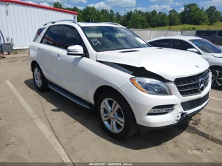 MERCEDES-BENZ MERCEDES-BENZ ML 350