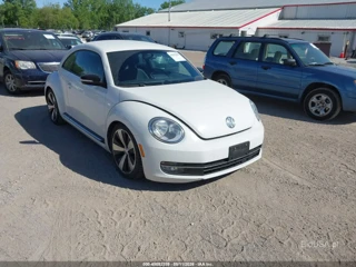 VOLKSWAGEN VOLKSWAGEN BEETLE 2.0T