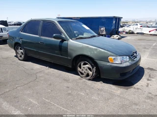 TOYOTA TOYOTA COROLLA LE