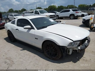FORD FORD MUSTANG GT PREMIUM
