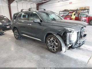 HYUNDAI HYUNDAI PALISADE CALLIGRAPHY