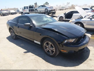 FORD FORD MUSTANG V6/V6 PREMIUM