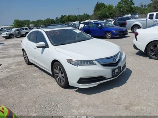 ACURA ACURA TLX