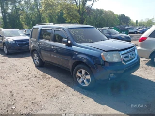HONDA HONDA PILOT EX-L