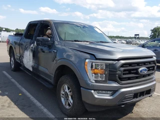 FORD FORD F-150 KING RANCH/LARIAT/LIMITED/PLATINUM/TREMOR/XL/XLT