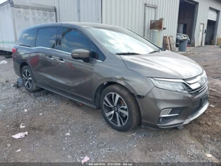 HONDA HONDA ODYSSEY ELITE