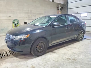 KIA FORTE EX