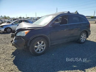 HONDA CR-V EX