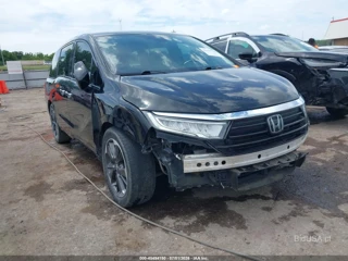 HONDA HONDA ODYSSEY ELITE