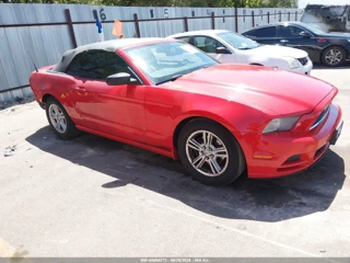 FORD FORD MUSTANG V6/V6 PREMIUM