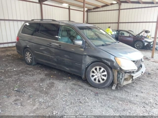 HONDA HONDA ODYSSEY EX-L