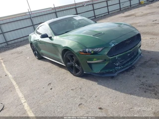 FORD FORD MUSTANG ECOBOOST FASTBACK