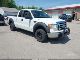 FORD FORD F-150 STX/XL/XLT