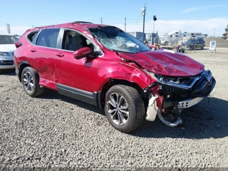 HONDA HONDA CR-V AWD EX