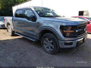 FORD FORD F-150 XLT
