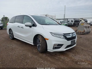 HONDA HONDA ODYSSEY ELITE