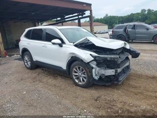 HONDA HONDA CR-V EX AWD