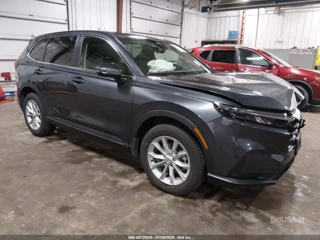 HONDA HONDA CR-V EX AWD