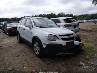 CHEVROLET CHEVROLET CAPTIVA SPORT FLEET LS
