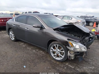 NISSAN NISSAN MAXIMA 3.5 SV