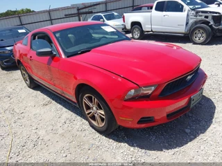 FORD FORD MUSTANG V6