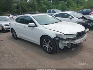 ACURA ACURA TLX