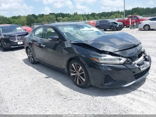 NISSAN NISSAN MAXIMA SV XTRONIC CVT
