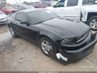 FORD FORD MUSTANG V6