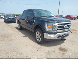 FORD FORD F-150 XLT