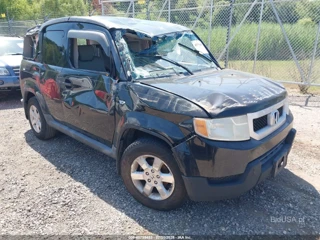 HONDA HONDA ELEMENT EX