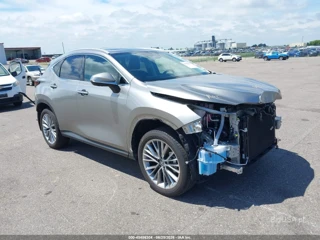 LEXUS LEXUS NX 350 PREMIUM