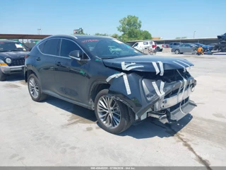 LEXUS LEXUS NX 350 LUXURY