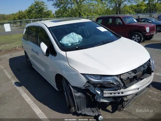 HONDA HONDA ODYSSEY ELITE