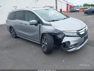 HONDA HONDA ODYSSEY ELITE