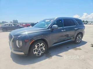 HYUNDAI PALISADE CALLIGRAPHY