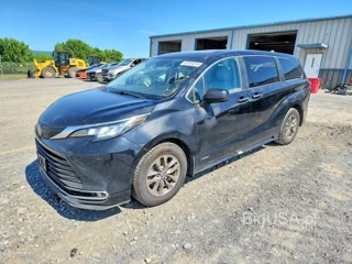 TOYOTA SIENNA XLE
