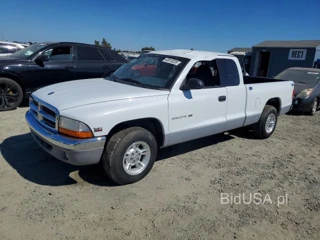 DODGE DAKOTA