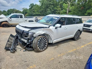 HYUNDAI PALISADE CALLIGRAPHY