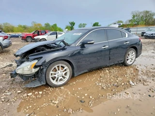 NISSAN MAXIMA