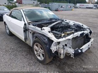 FORD FORD MUSTANG V6