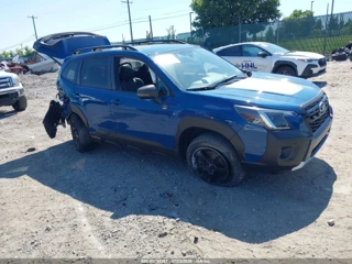 SUBARU SUBARU FORESTER WILDERNESS