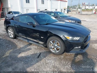 FORD FORD MUSTANG V6