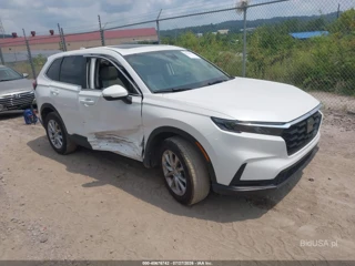 HONDA HONDA CR-V EX AWD