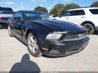 FORD FORD MUSTANG