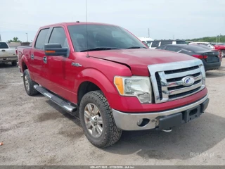 FORD FORD F-150 XL/XLT