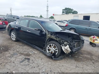 NISSAN NISSAN MAXIMA 3.5 SV