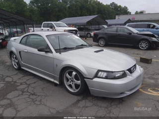 FORD FORD MUSTANG