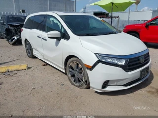 HONDA HONDA ODYSSEY ELITE